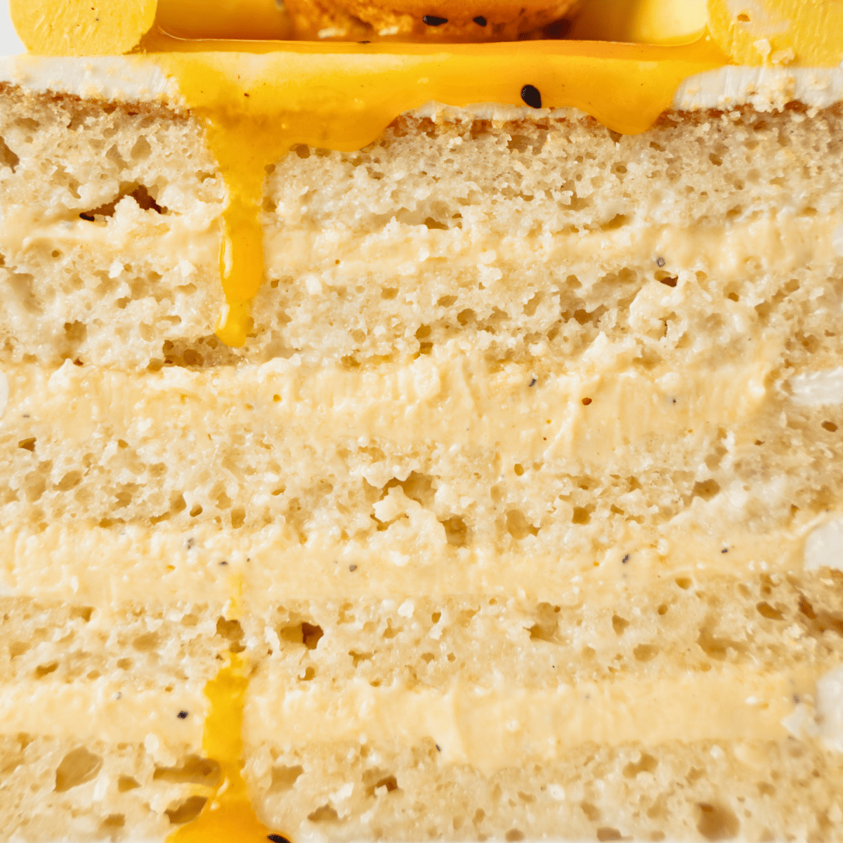 Tres Leches Passion Fruit Cake - NEW | dbakers Sweet Studio