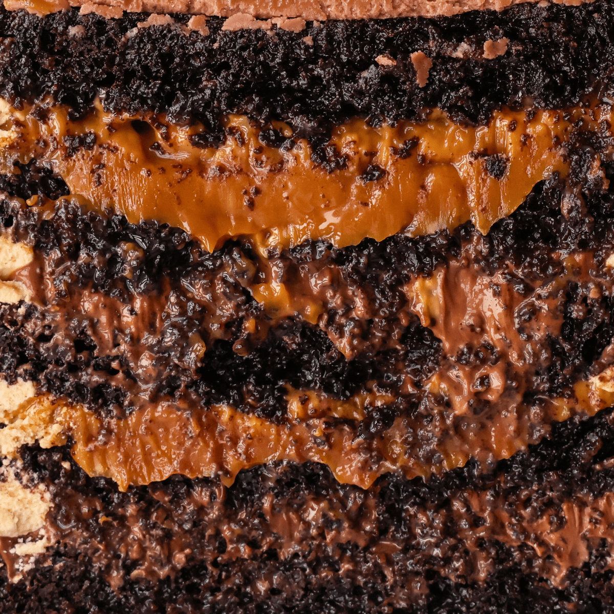 Chocolate Dulce de Leche  | dbakers Sweet Studio